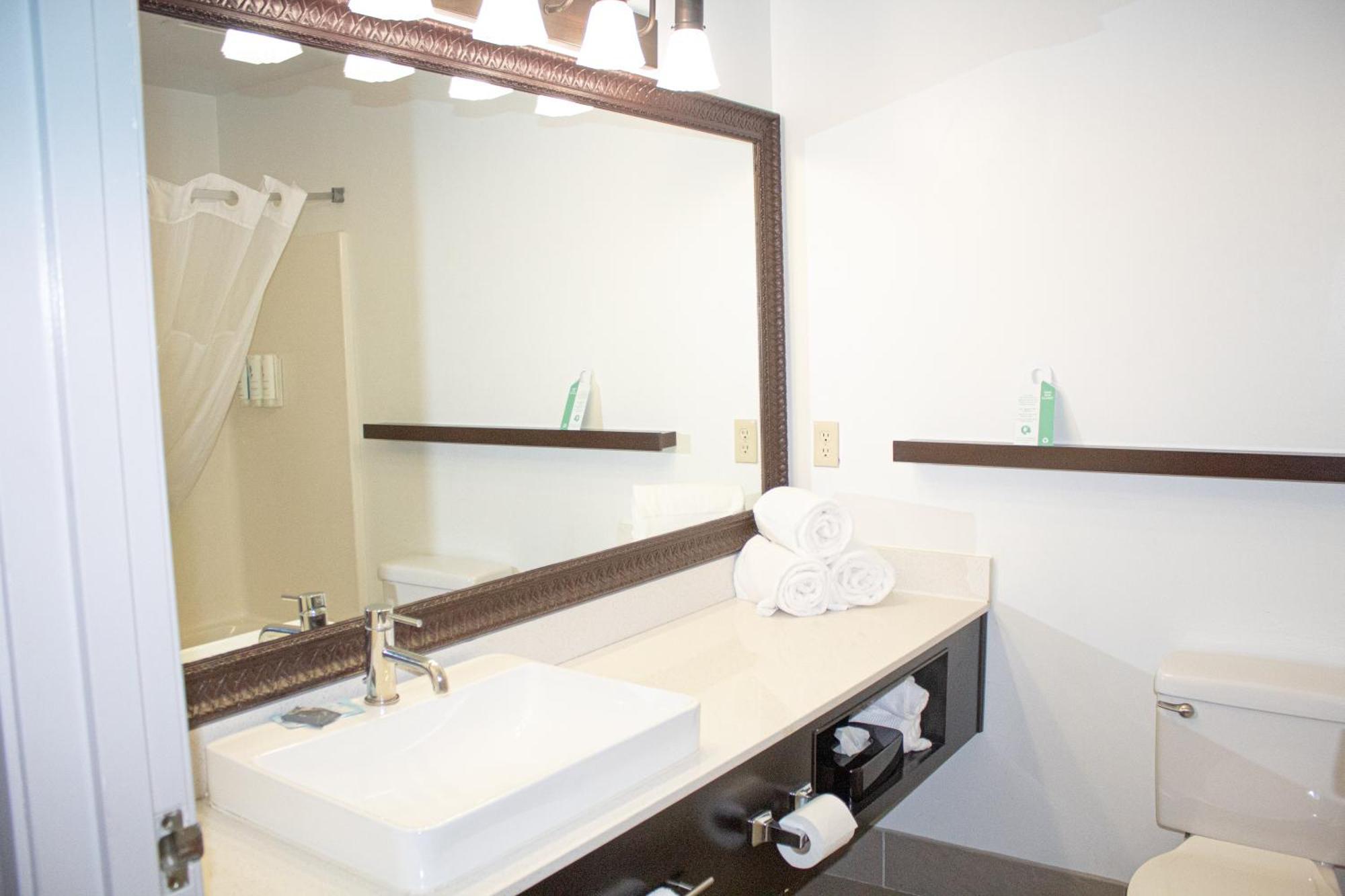 Country Inn & Suites By Radisson, Big Rapids, Mi Екстериор снимка